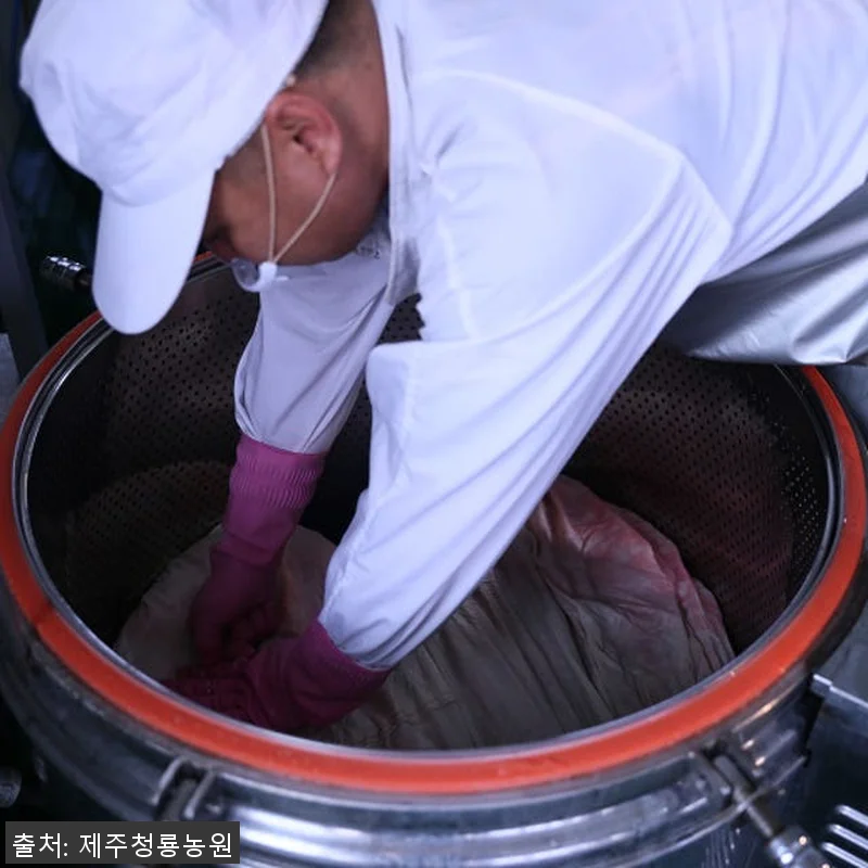 제주산 자색당근즙 (75포) 사용 후 관련 이미지 4