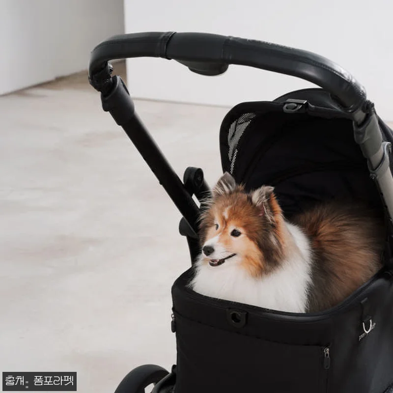 폼포라펫 모두 웨건 소형견 강아지유모 관련 이미지 4