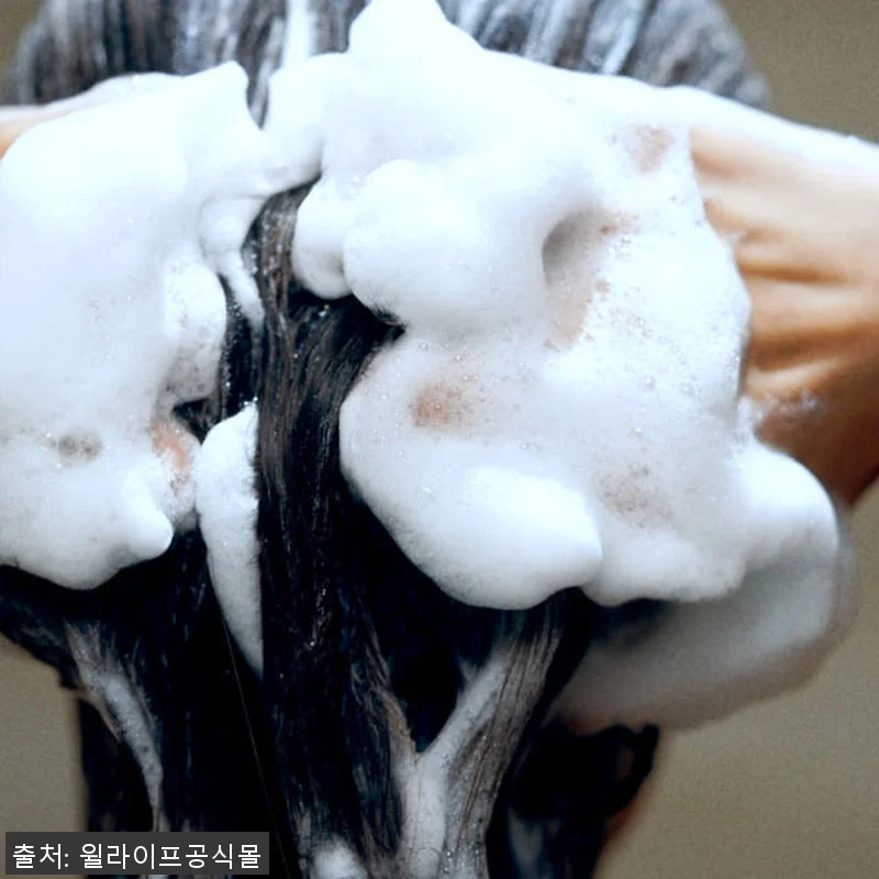 윌라이프 사우나 릴렉싱 프리미엄 샤워 관련 이미지 5