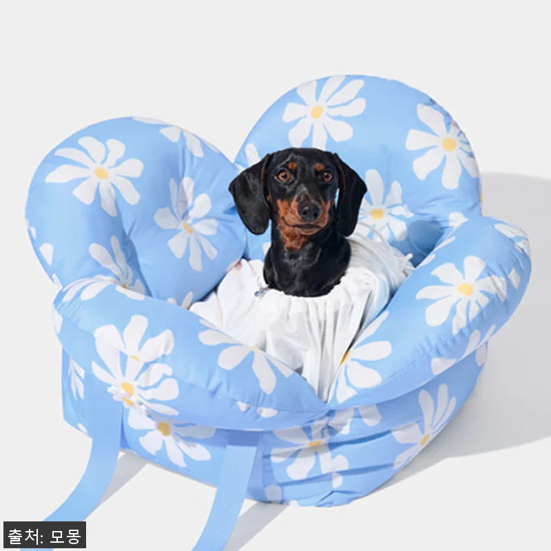 데이지 강아지카시트 애견 반려견 조수 관련 이미지 5
