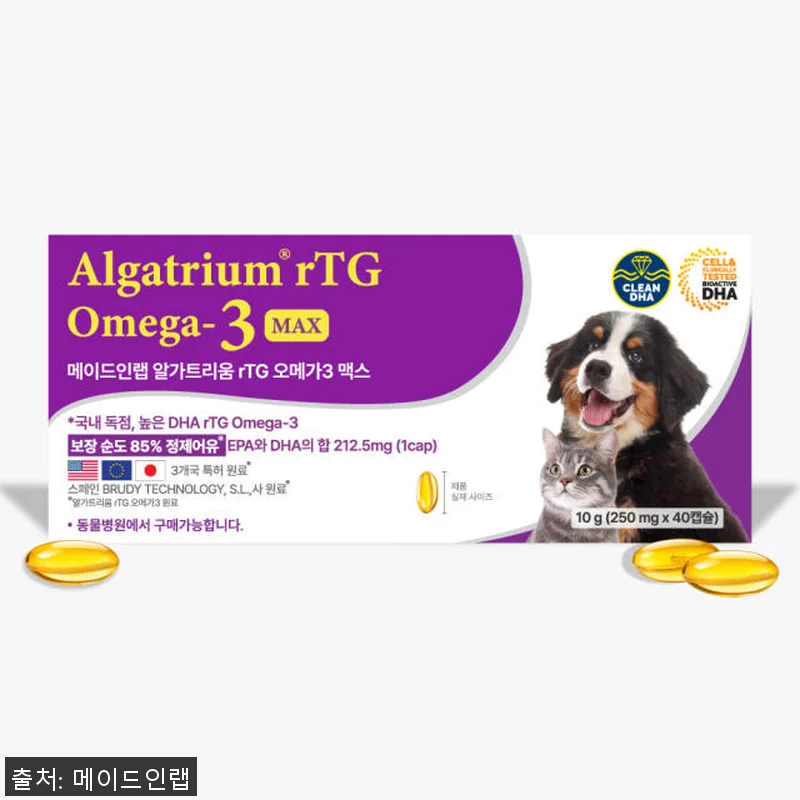 강아지 눈 영양제 DHA 오메가3 알 관련 이미지 5