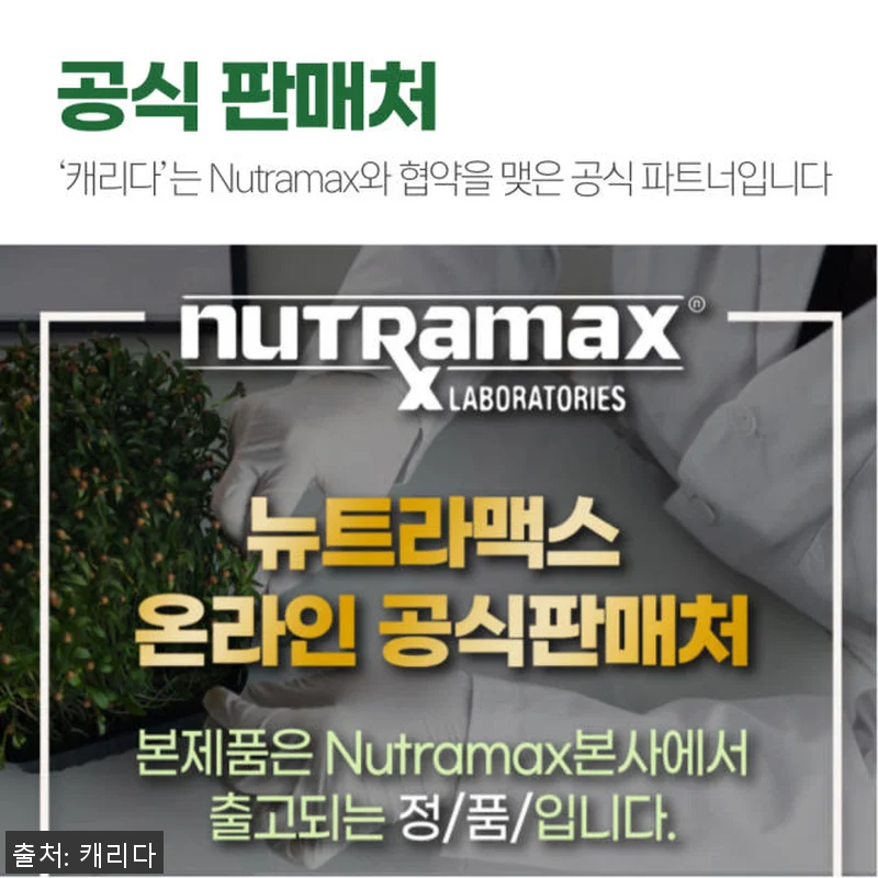 브로콜리새싹 설포라판 아브마콜 엑스트 관련 이미지 5