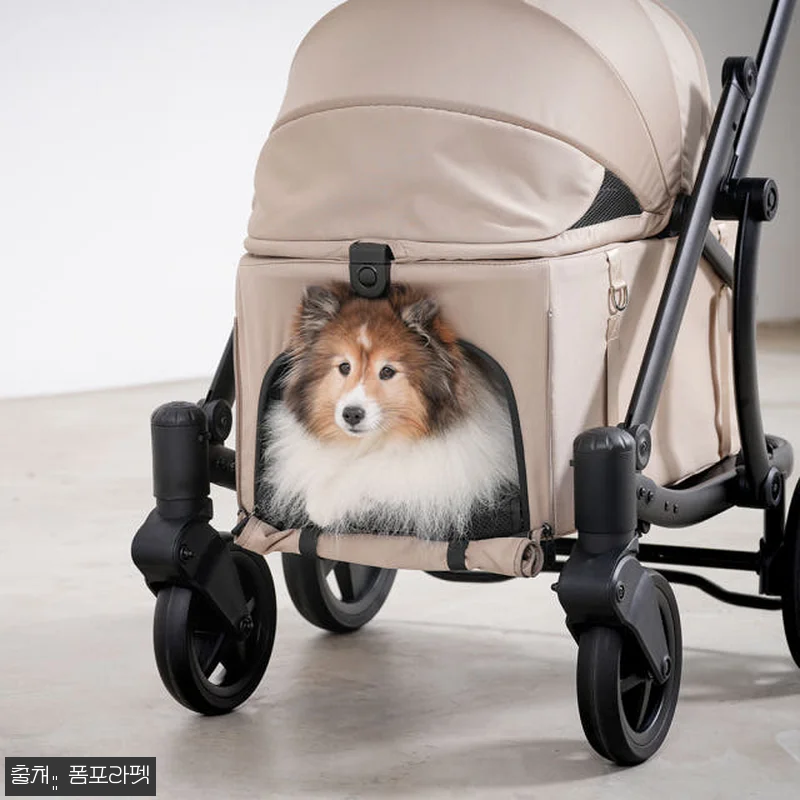폼포라펫 모두 웨건 소형견 강아지유모 관련 이미지 5