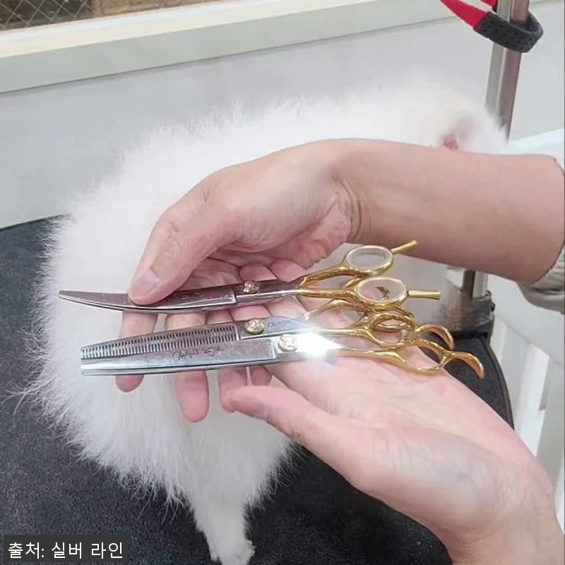 실버라인펫 KUTC KUTS KUTT 관련 이미지 6