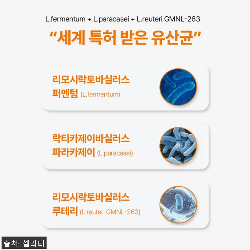 셀리티 프로피오 다니스코 유산균 프로 관련 이미지 6