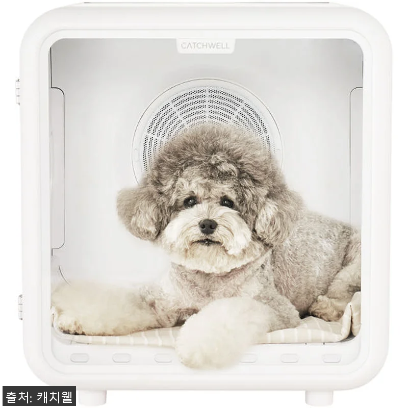 캐치웰 펫드라이룸 사용후기 - 강아지 관련 이미지 6