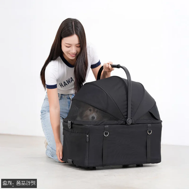 폼포라펫 모두 웨건 소형견 강아지유모 관련 이미지 6