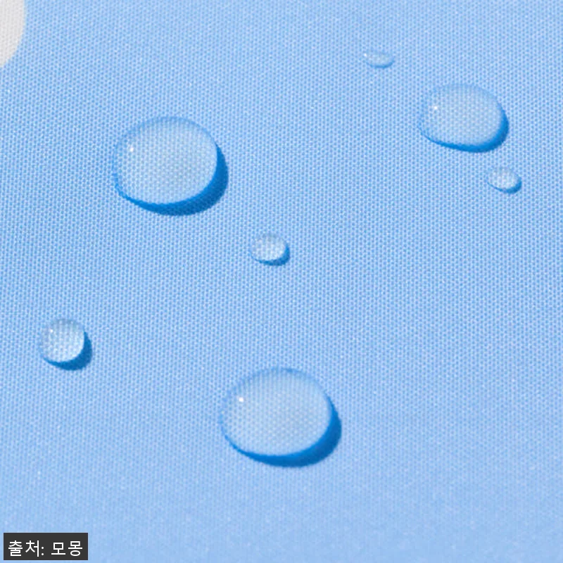 데이지 강아지카시트 애견 반려견 조수 관련 이미지 7