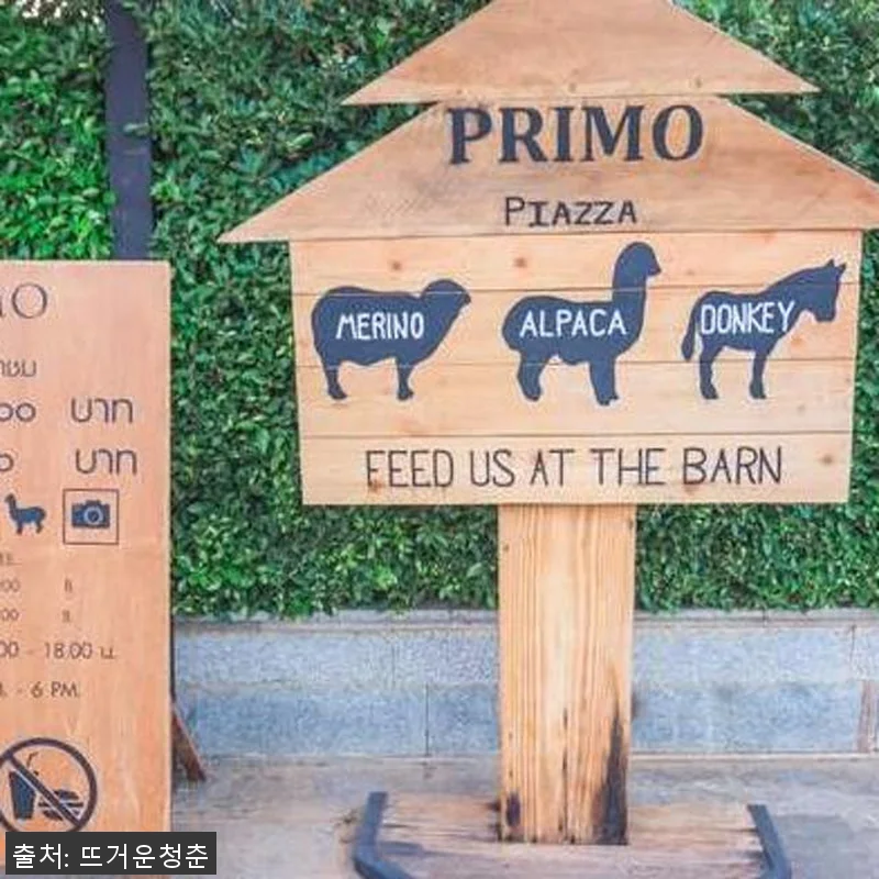 태국 카오야이 프라이빗 핵심 4일/5 관련 이미지 7