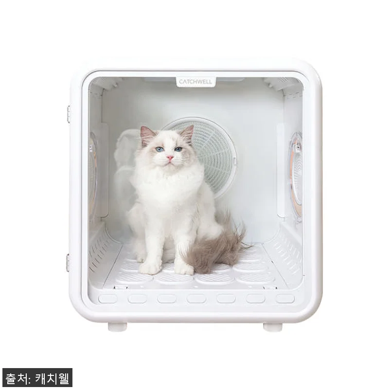 캐치웰 펫드라이룸 사용후기 - 강아지 관련 이미지 7