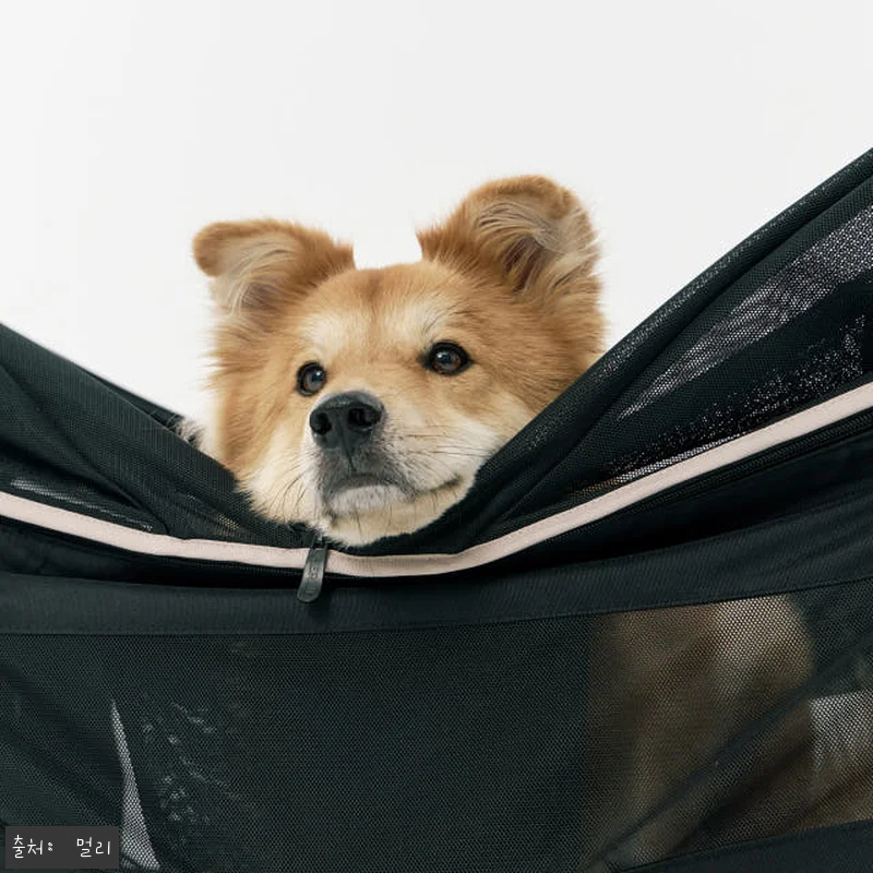 멀리 저상형 강아지유모차 웨건 MW6 관련 이미지 8