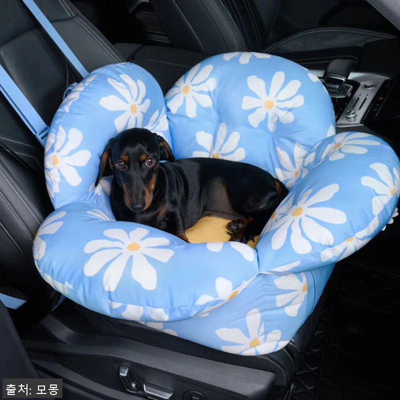 데이지 강아지카시트 애견 반려견 조수 관련 이미지 8