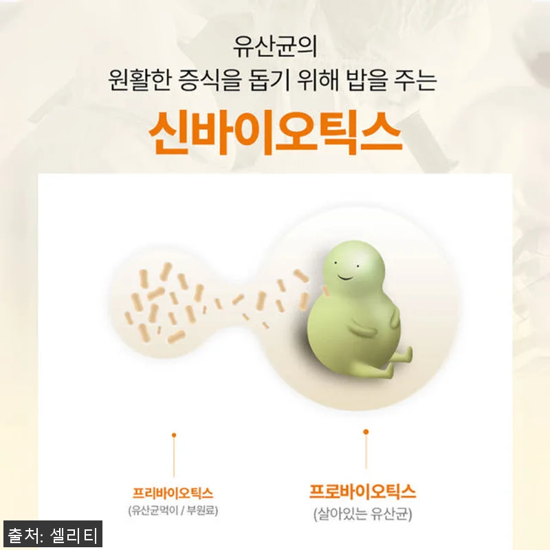 셀리티 프로피오 다니스코 유산균 프로 관련 이미지 8