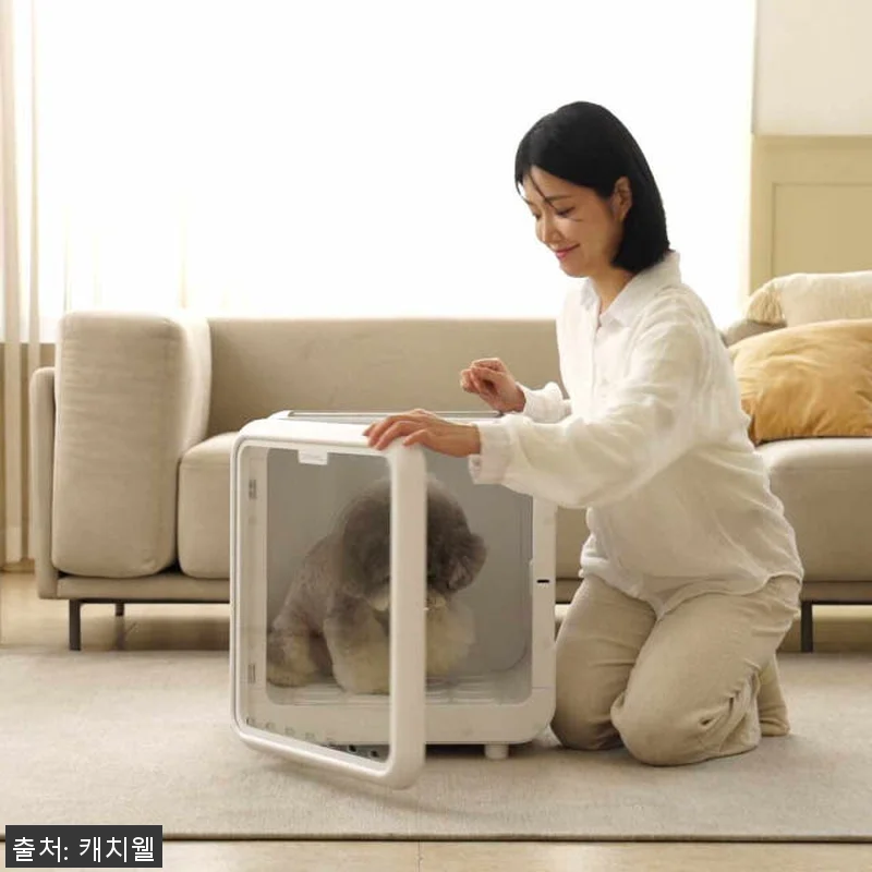 캐치웰 펫드라이룸 사용후기 - 강아지 관련 이미지 8