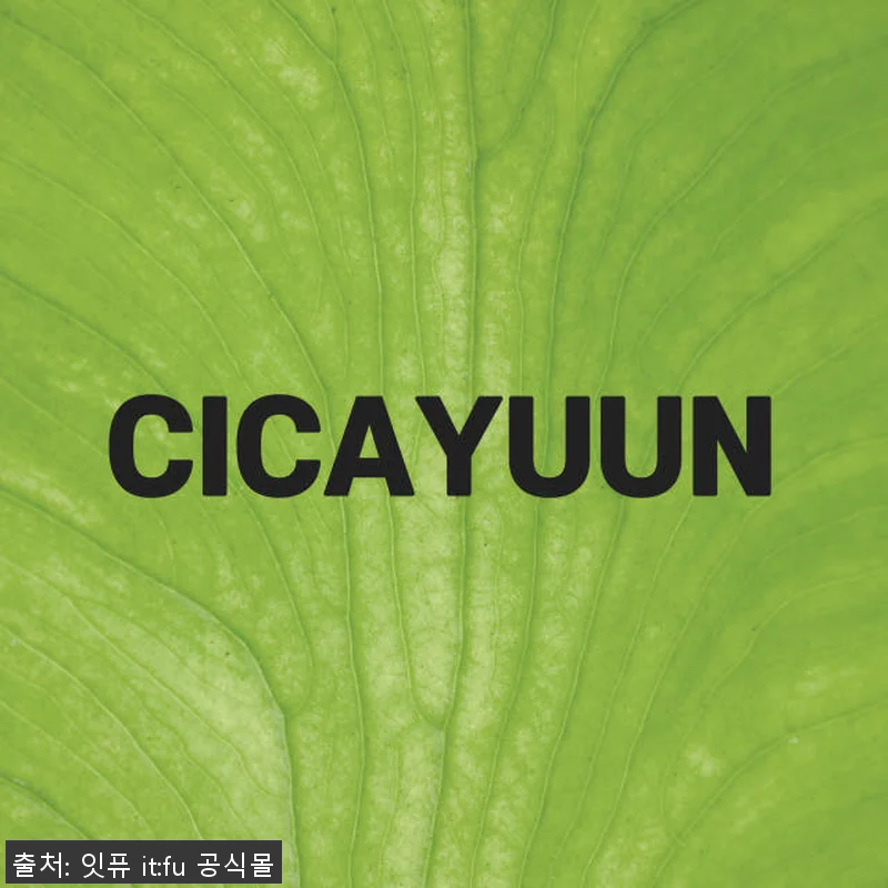 시카 세라마이드 시카윤 크림 50ml 관련 이미지 9