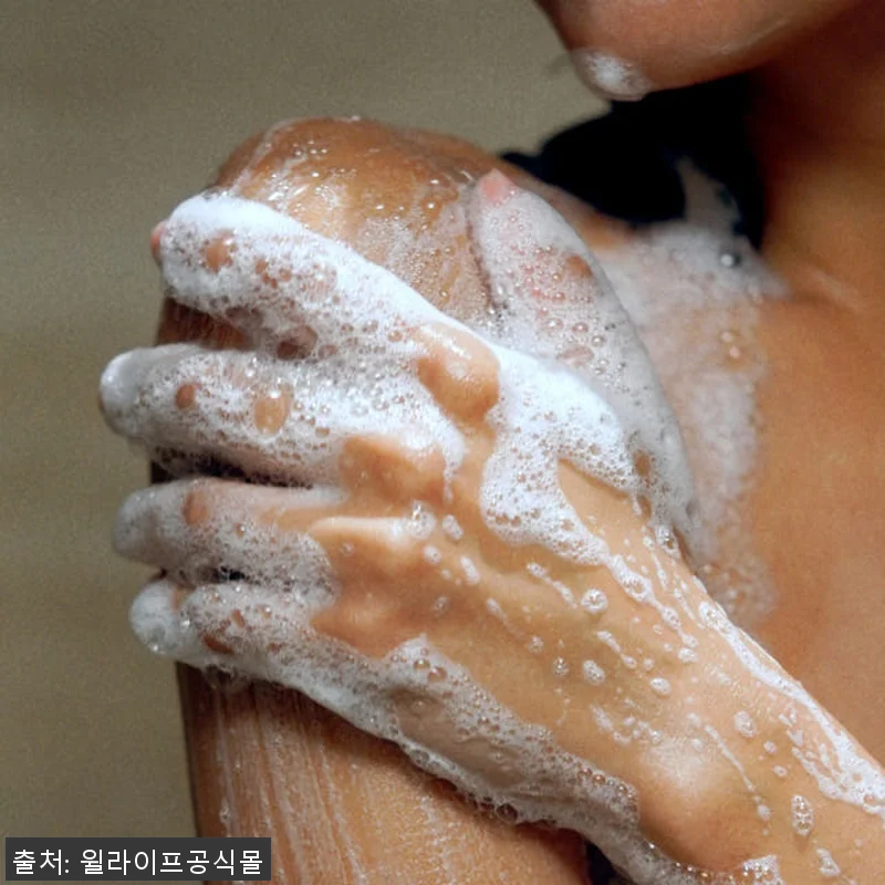 윌라이프 사우나 릴렉싱 프리미엄 샤워 관련 이미지 9