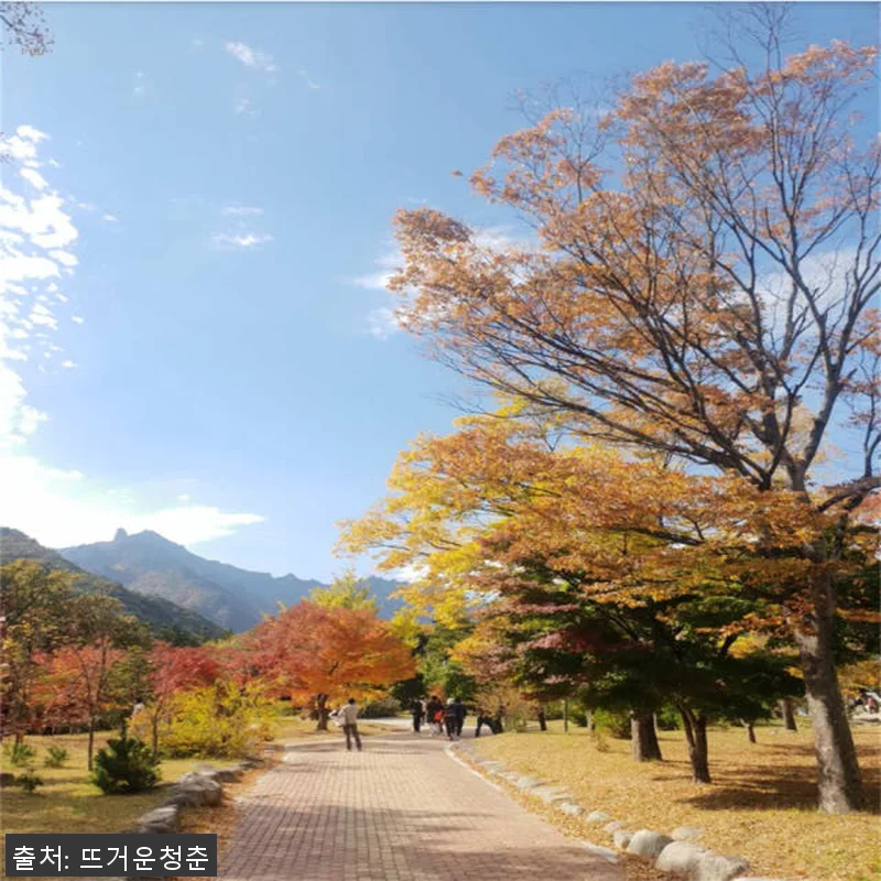 한국 경주/포항 여행 드라마 촬영지 관련 이미지 9