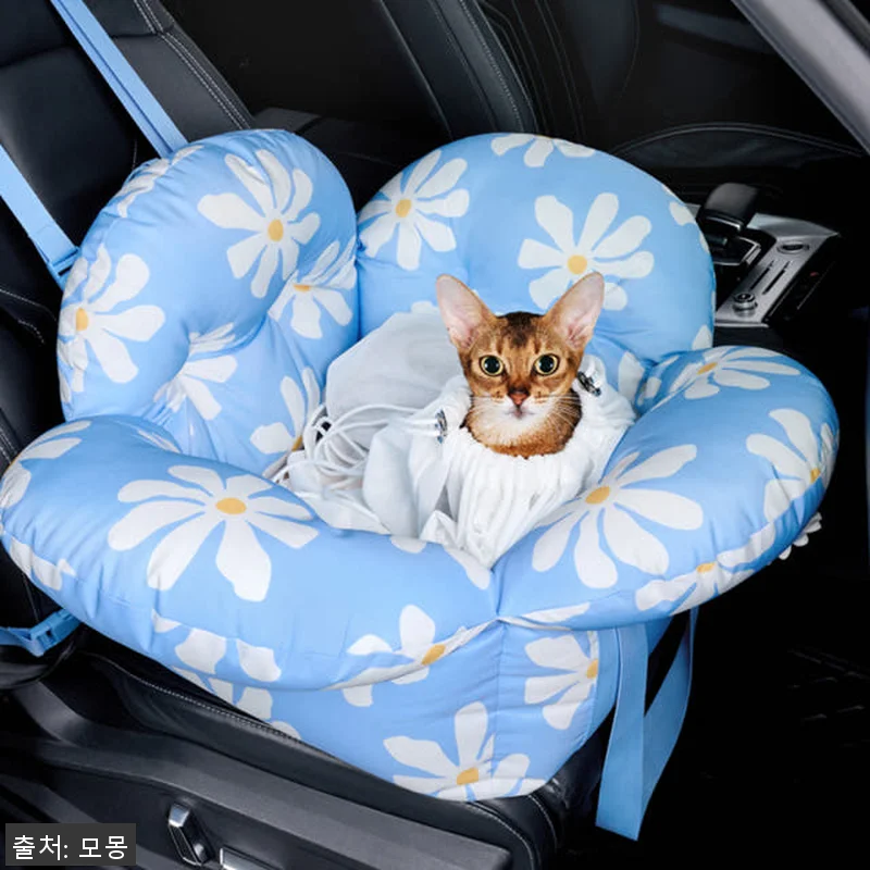 데이지 강아지카시트 애견 반려견 조수 관련 이미지 9