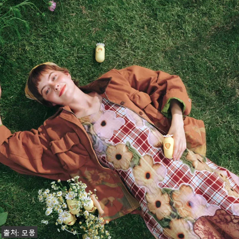 데이지 강아지카시트 애견 반려견 조수 관련 이미지 10