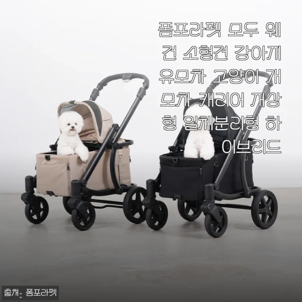 폼포라펫 모두 웨건 소형견 강아지유모차 사용후기: 우리 막내와 함께한 첫 외출