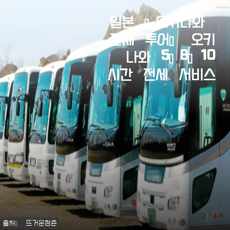 오키나와 전세 투어 5시간 체험 후기, 직접 이용해보니