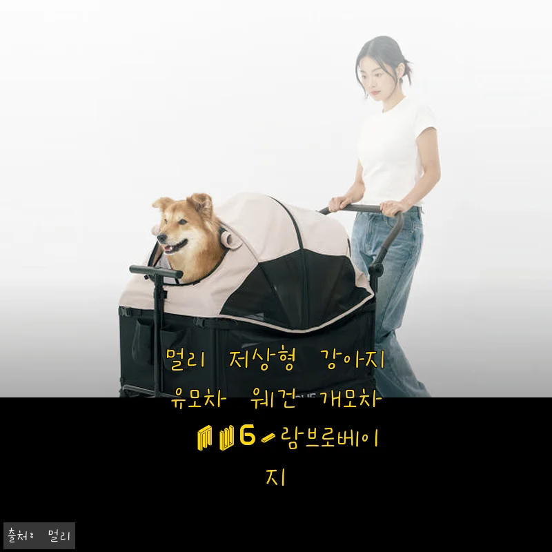 멀리 저상형 강아지유모차 웨건 MW6-람브로베이지, 직접 사용해본 생생 후기