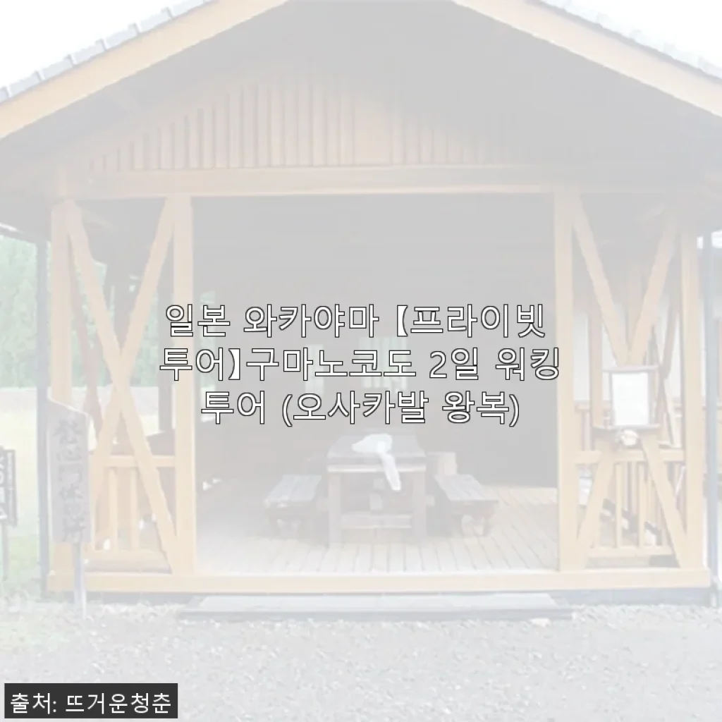 일본 와카야마 구마노코도 2일 워킹투어 체험 후기 및 할인 정보