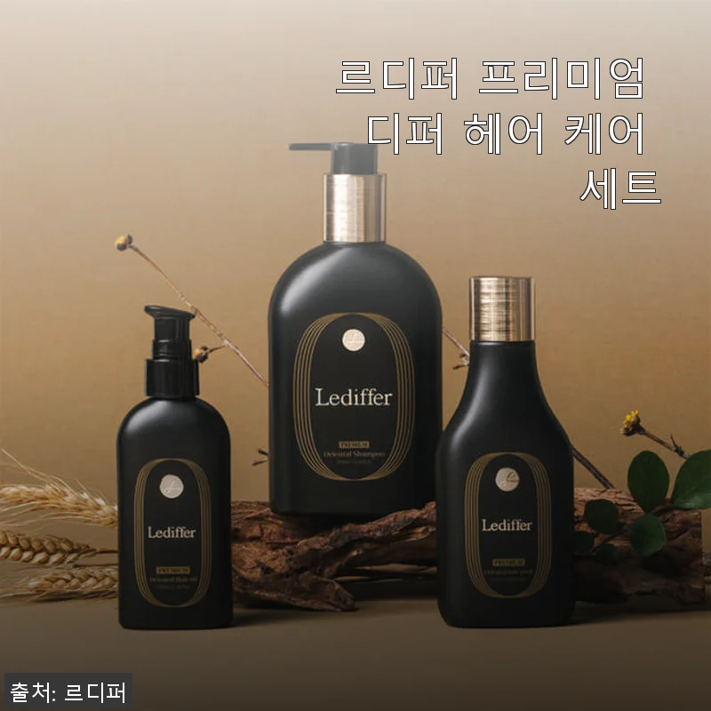 르디퍼 프리미엄 디퍼 헤어 케어 세트 사용후기