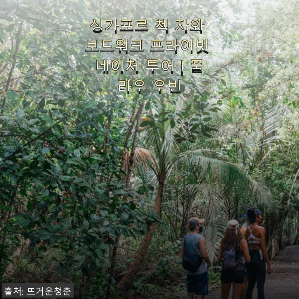 싱가포르 첵 자와 보드워크 프라이빗 네이처 투어 | 풀라우 우빈 체험 후기