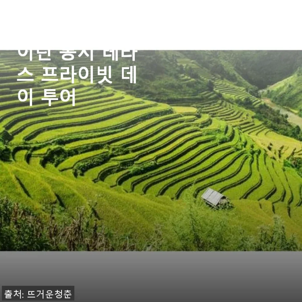 중국 광시성 구이린 롱지 테라스 프라이빗 데이 투어 사용 후기