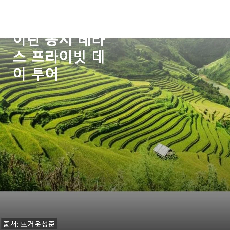 중국 광시성 구이린 롱지 테라스 프라이빗 데이 투어 사용 후기