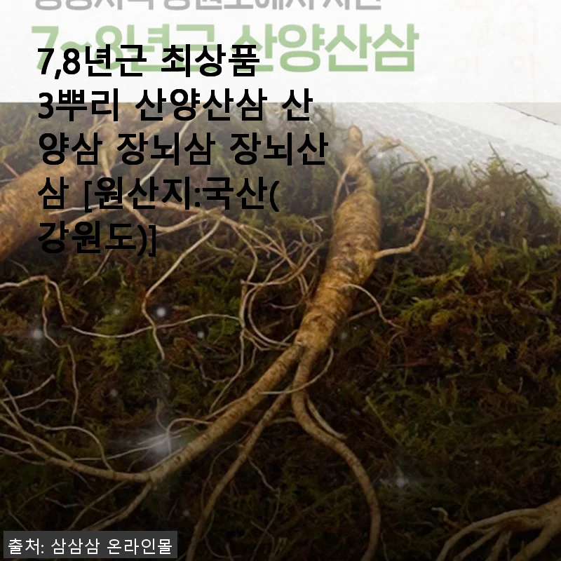 7,8년근 최상품 3뿌리 산양산삼 사용후기와 선물 추천
