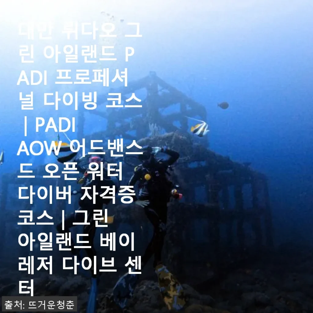대만 뤼다오 그린 아일랜드 PADI 어드밴스드 오픈 워터 다이버 코스 후기