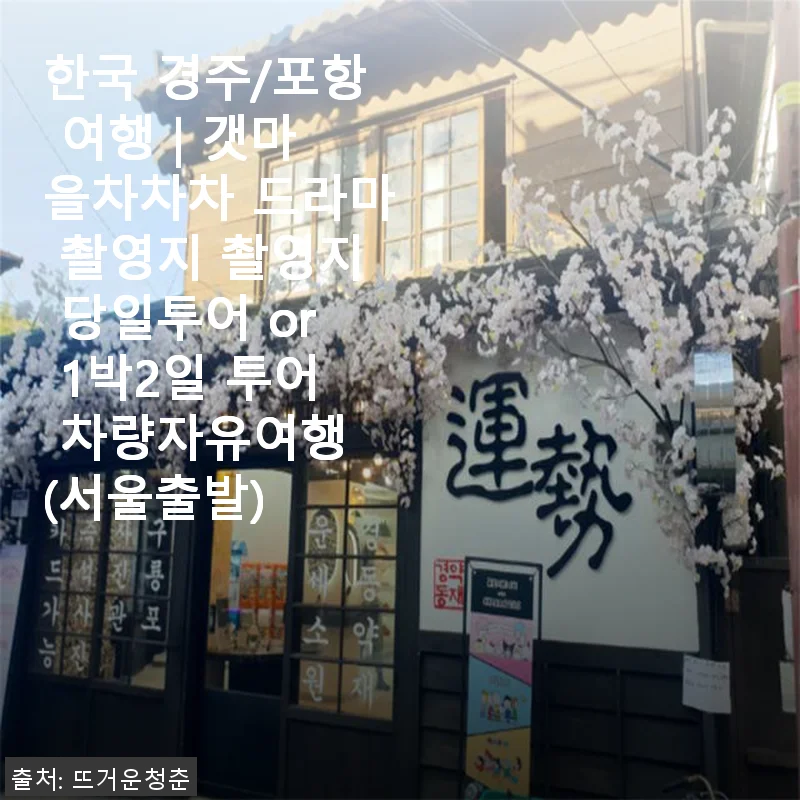 한국 경주/포항 여행 드라마 촬영지 투어 체험 후기 – 갯마을차차차 촬영지 당일투어와 1박2일 투어 추천