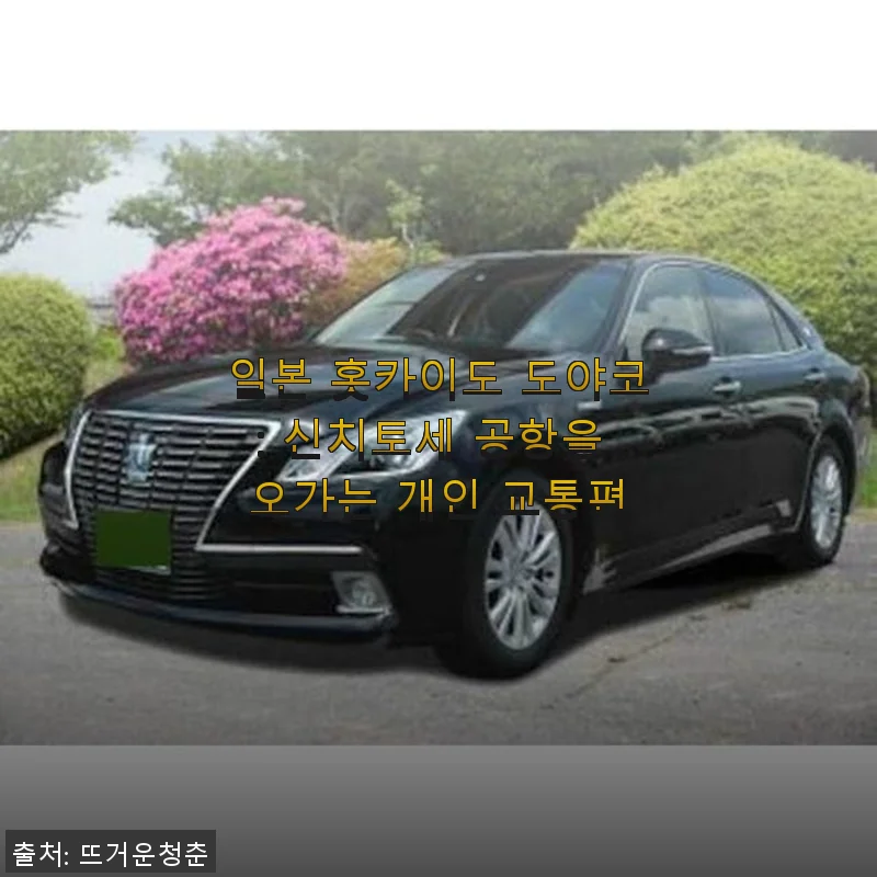 일본 홋카이도 도야코 신치토세 공항 개인 교통편 사용후기