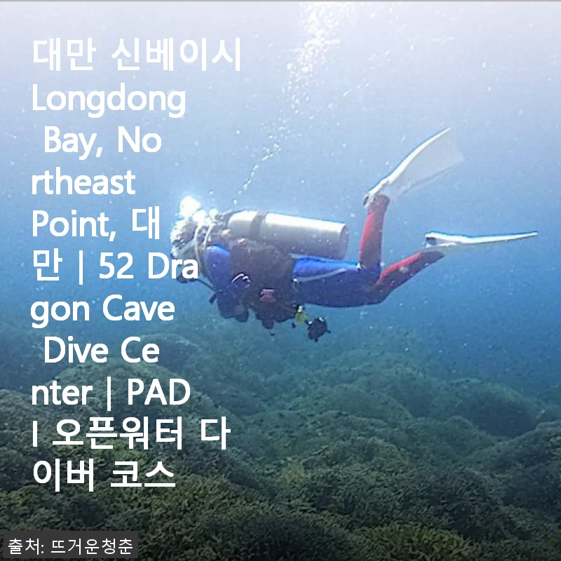 대만 Longdong Bay 52 Dragon Cave Dive Center PADI 오픈워터 다이버 코스 사용 후기