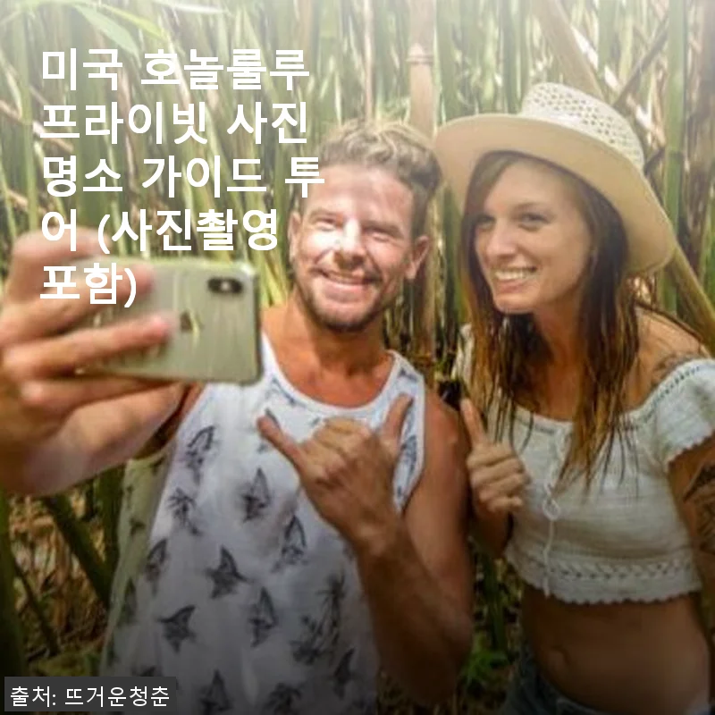 미국 호놀룰루 프라이빗 사진 명소 가이드 투어 사용후기