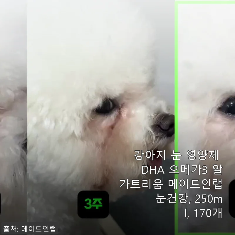 강아지 눈 영양제 DHA 오메가3 알가트리움 메이드인랩 사용후기