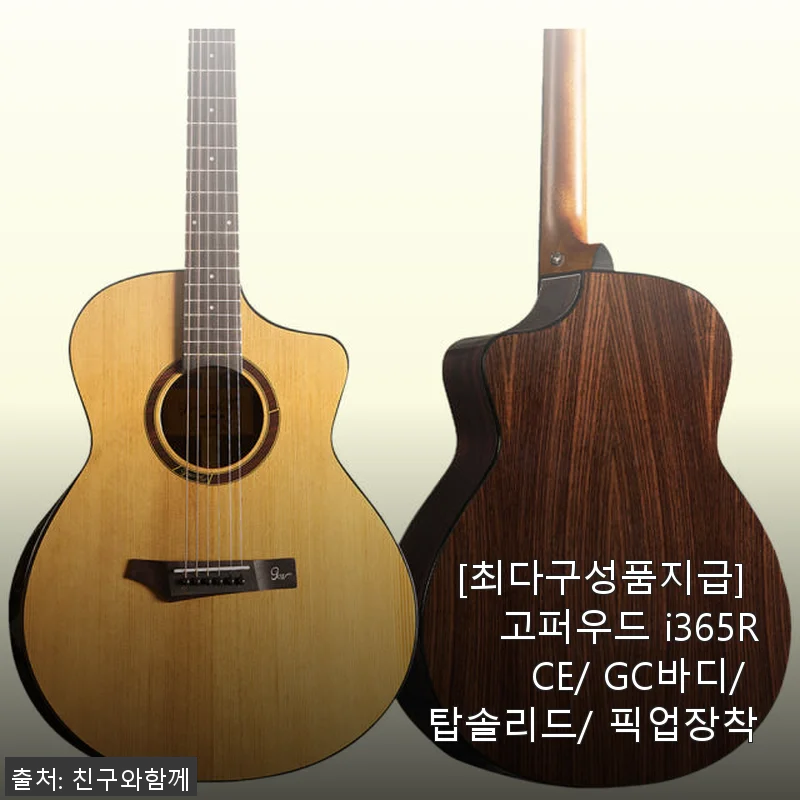 고퍼우드 i365RCE 기타, 직접 사용해보니 이렇게 다르네요!