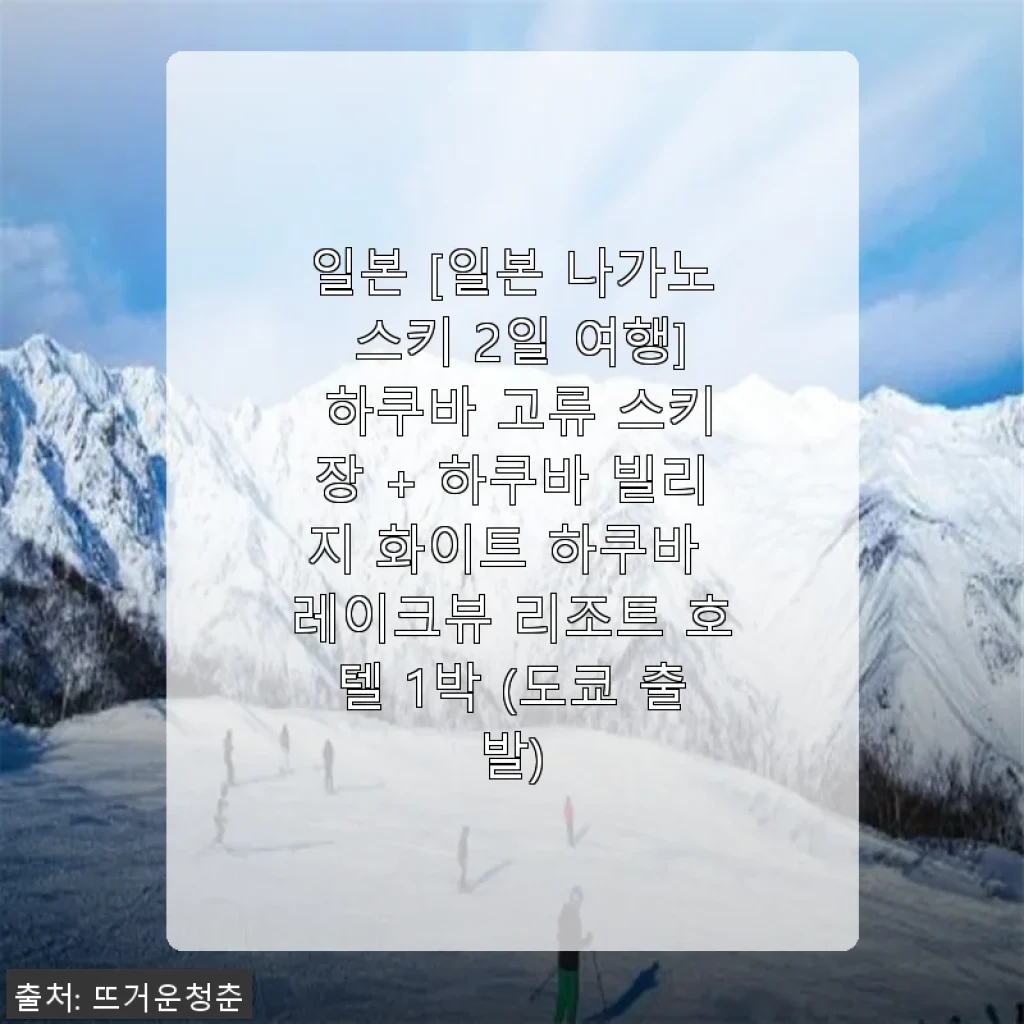 일본 나가노 하쿠바 2일 스키 여행 패키지 사용후기