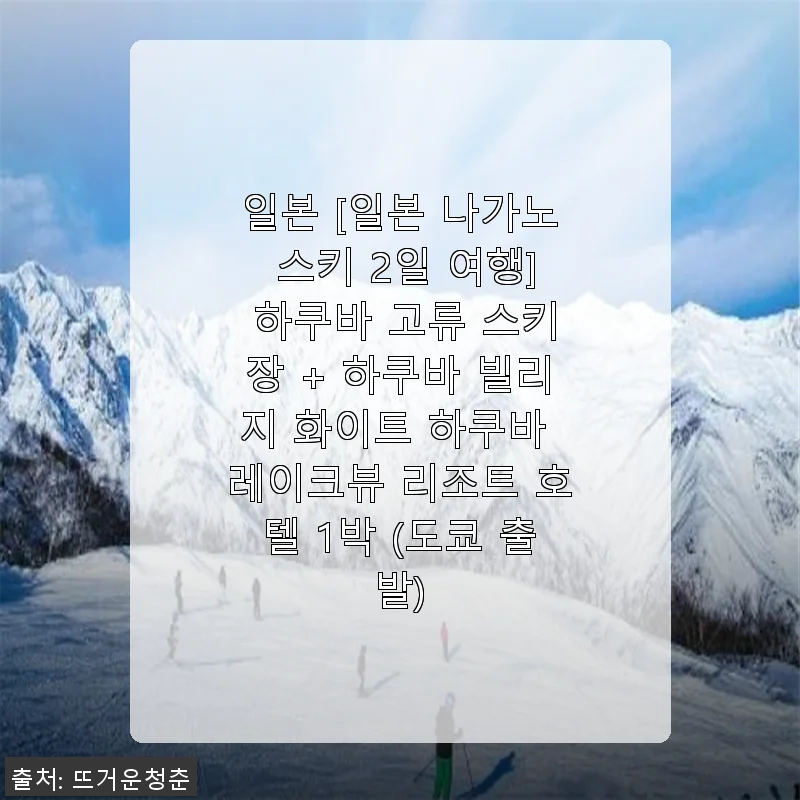 일본 나가노 하쿠바 2일 스키 여행 패키지 사용후기