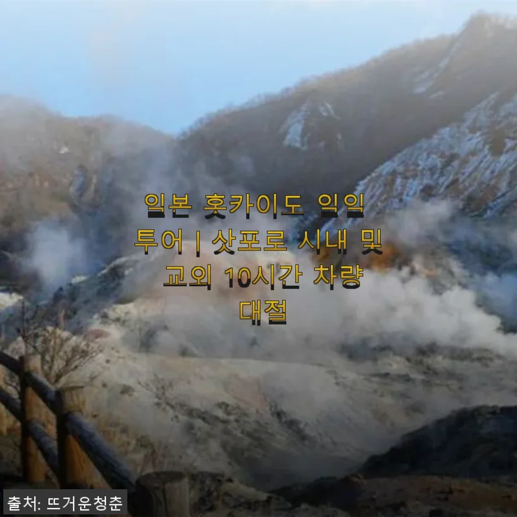 홋카이도 일일 투어｜삿포로 시내 및 교외 10시간 차량 대절 사용후기