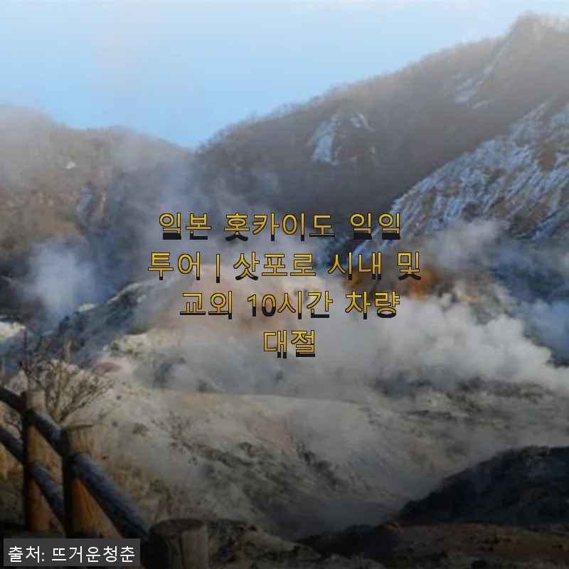 홋카이도 일일 투어｜삿포로 시내 및 교외 10시간 차량 대절 사용후기