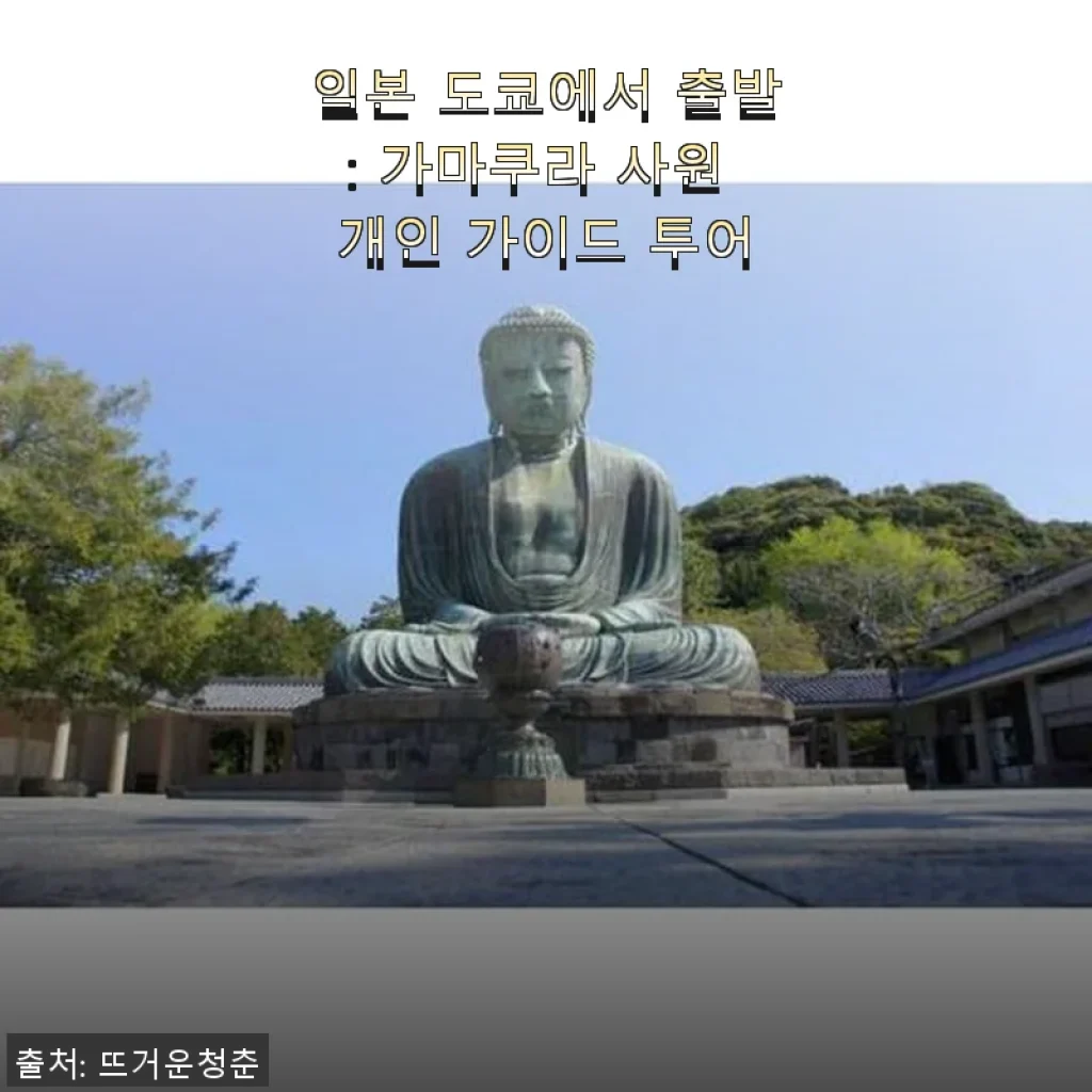 일본 도쿄에서 출발: 가마쿠라 사원 개인 가이드 투어 사용 후기