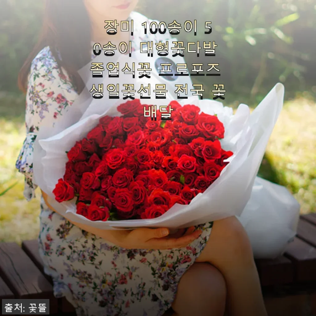 장미 100송이 대형꽃다발 사용후기와 특별한 선물 경험