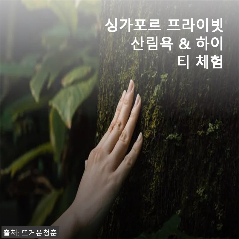 싱가포르 프라이빗 산림욕 & 하이티 체험, 직접 경험해본 생생한 후기