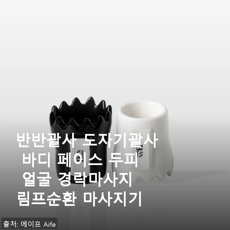 반반괄사 도자기괄사 사용후기: 얼굴부터 두피, 바디까지 하나로 해결하는 마사지 도구