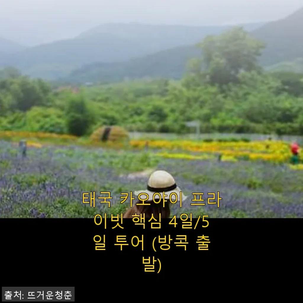 태국 카오야이 프라이빗 핵심 4일/5일 투어 사용 후기: 직접 체험한 특별한 여행의 즐거움