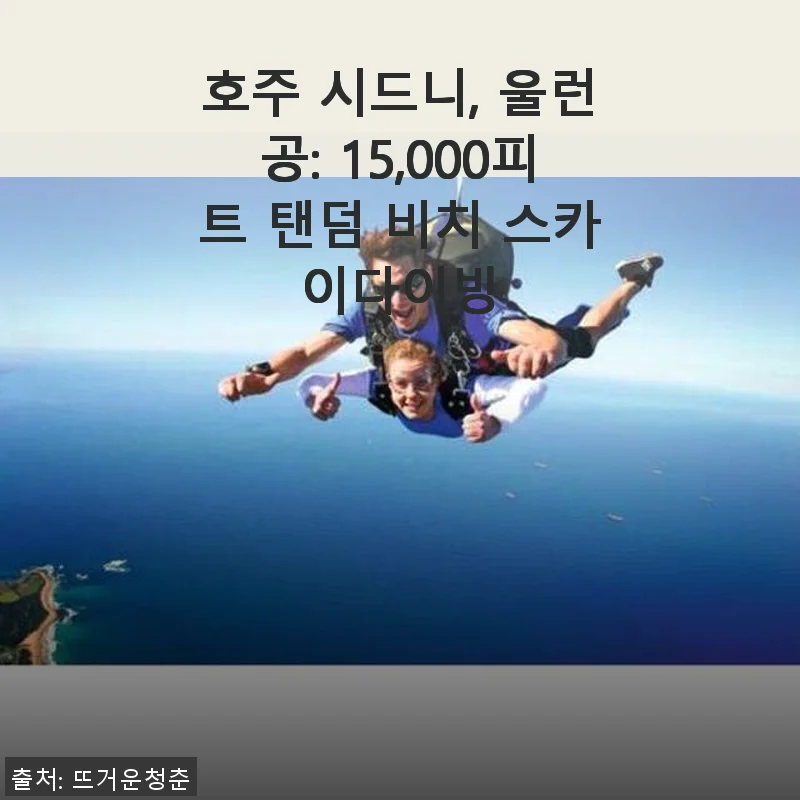 호주 시드니 울런공 15,000피트 탠덤 비치 스카이다이빙 사용후기