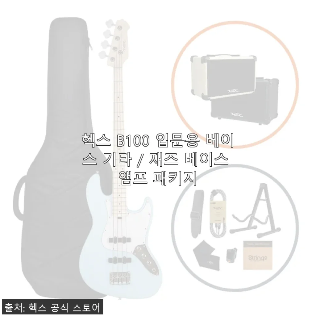 헥스 B100 입문용 베이스 기타 / 재즈 베이스 앰프 패키지 사용 후기
